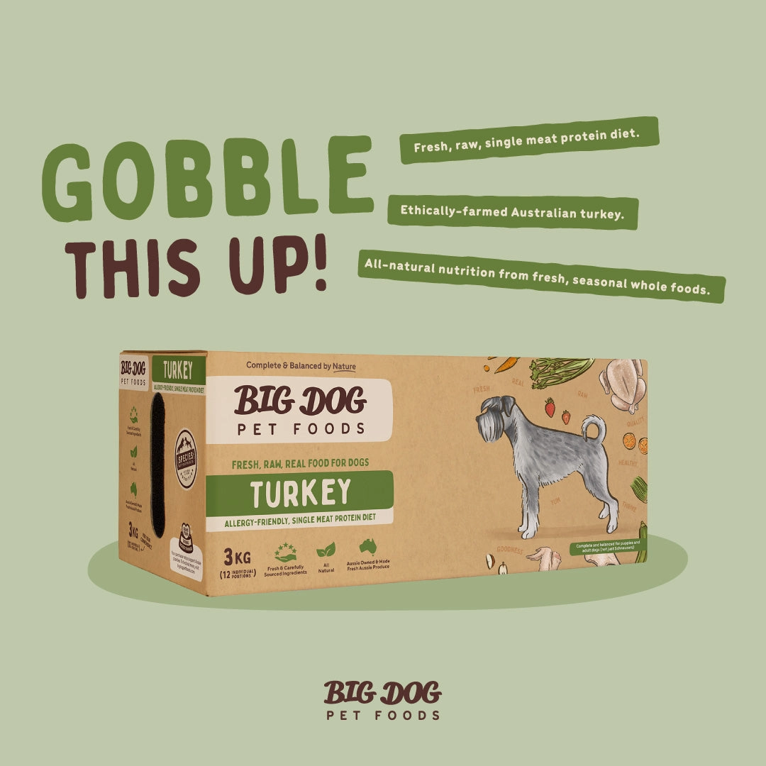 Big Dog - Turkey Allergy for Dogs (3kg)