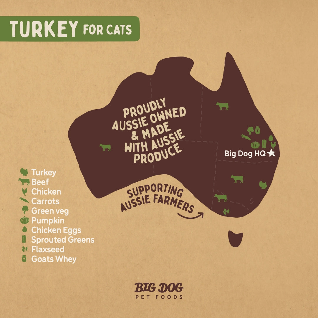 Big Dog - Turkey for Cats (1.38kg)