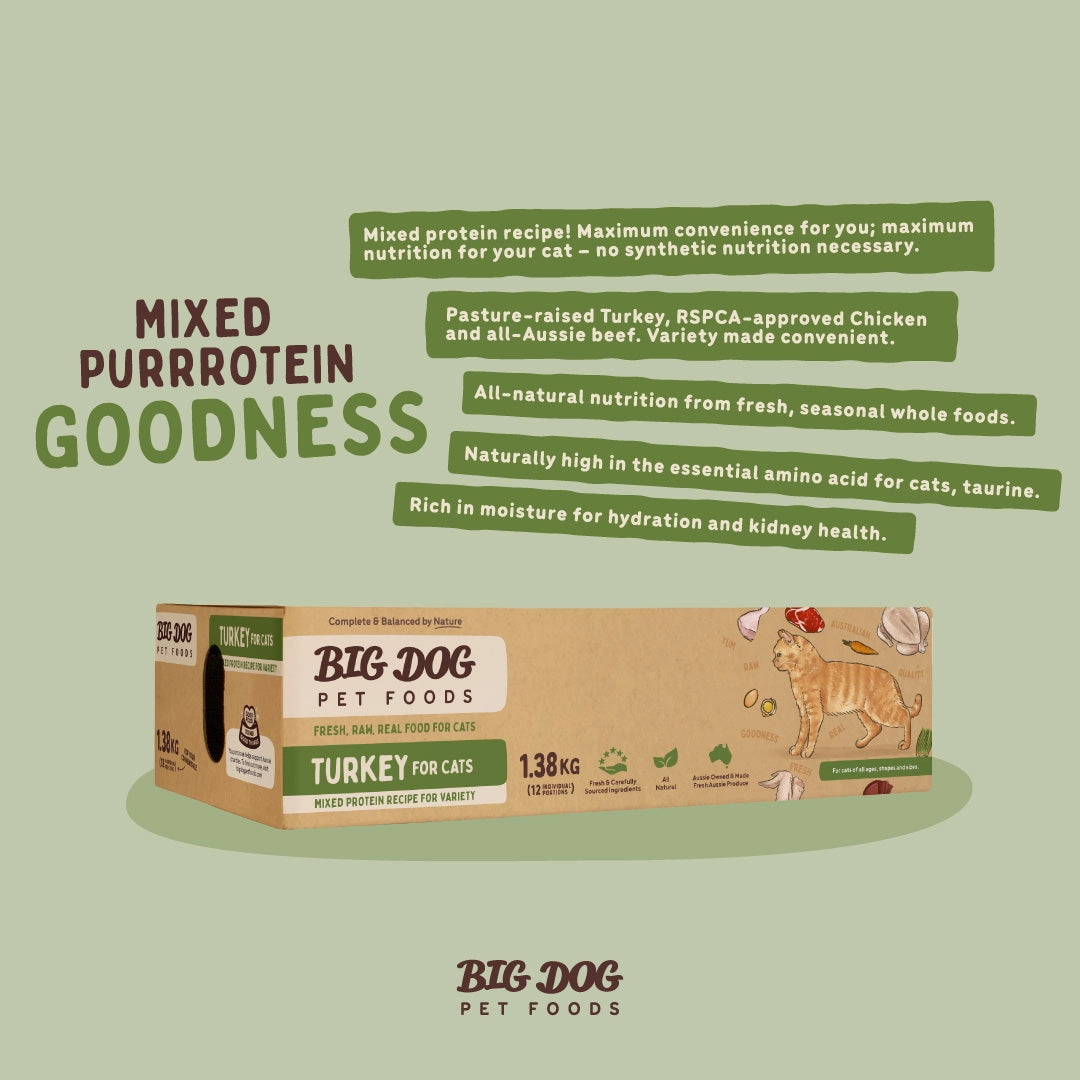 Big Dog - Turkey for Cats (1.38kg)