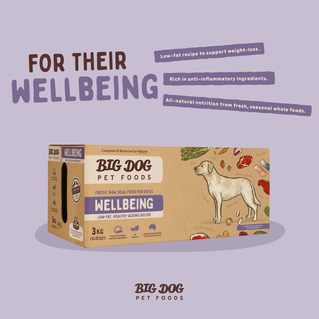 Big Dog - Wellbeing for Dogs (3kg)