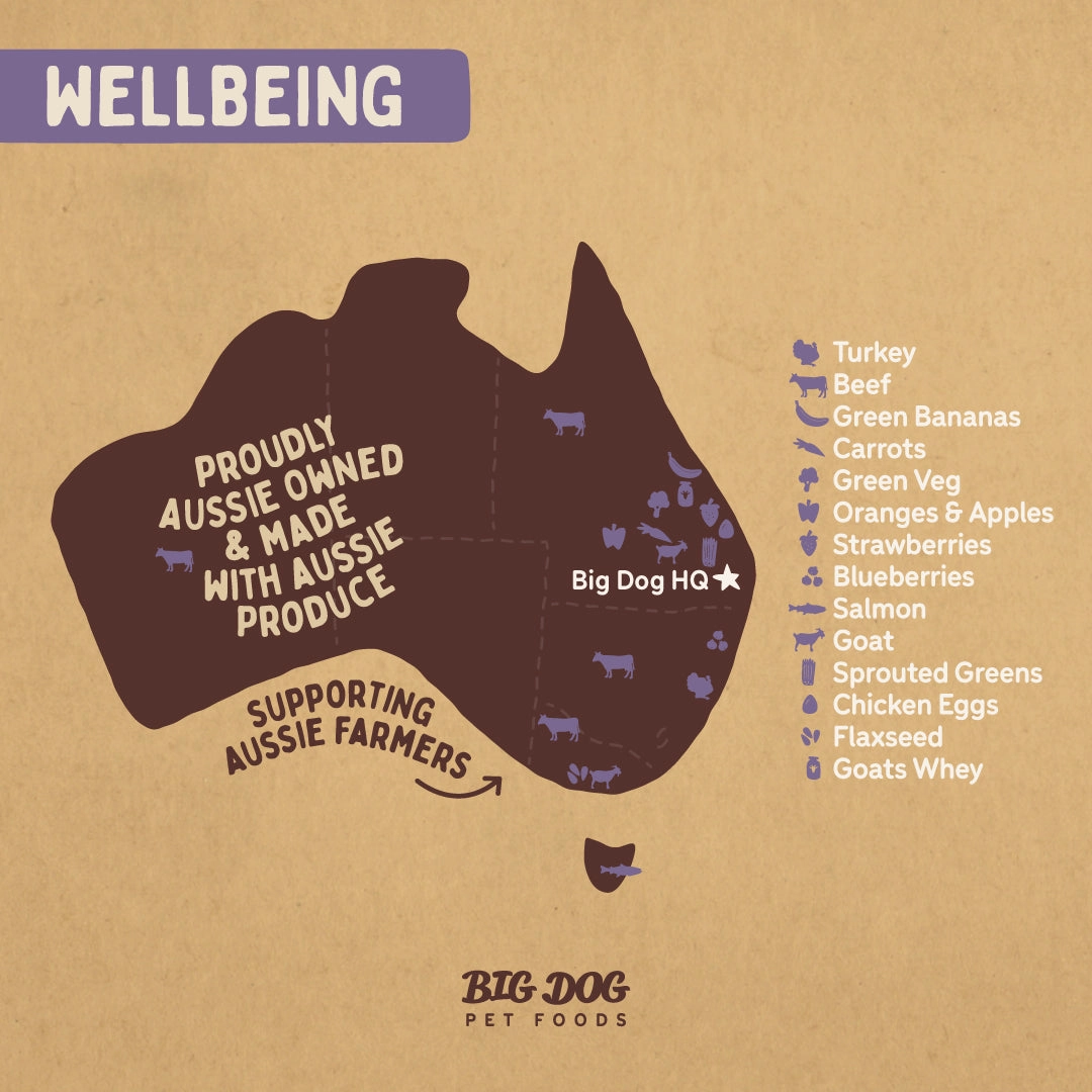 Big Dog - Wellbeing for Dogs (3kg)