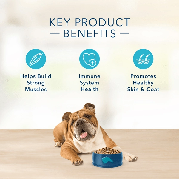 BLUE Basics Skin & Stomach Care Grain-Free Turkey & Potato Recipe Dry Dog Food (SPECIAL ORDER ITEM)