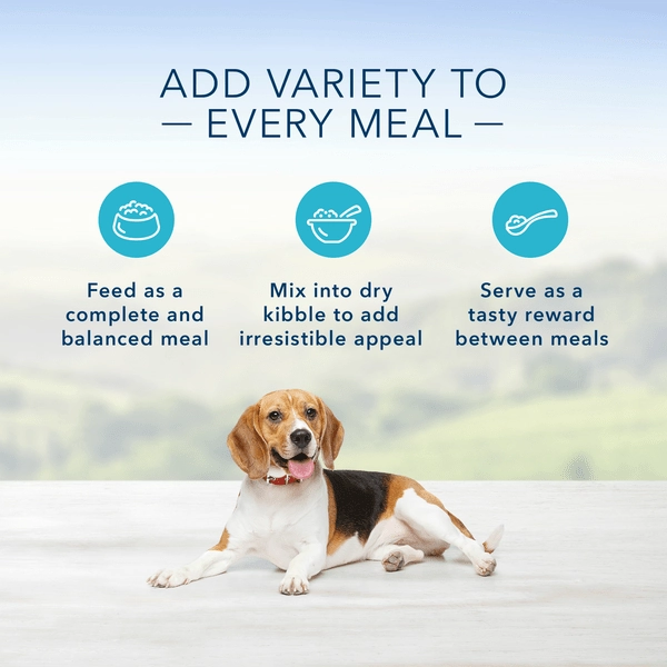BLUE Homestyle Recipe Healthy Weight Chicken Dinner Canned Dog Food