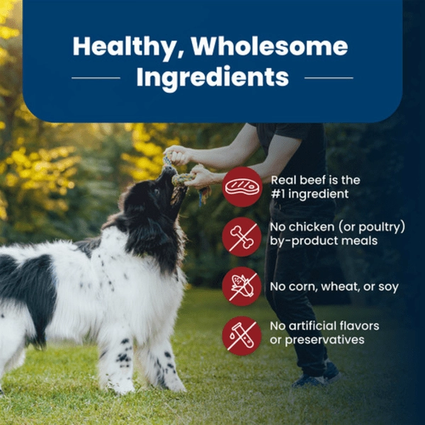BLUE Life Protection Formula Beef & Brown Rice Recipe Dry Dog Food, 26lb
