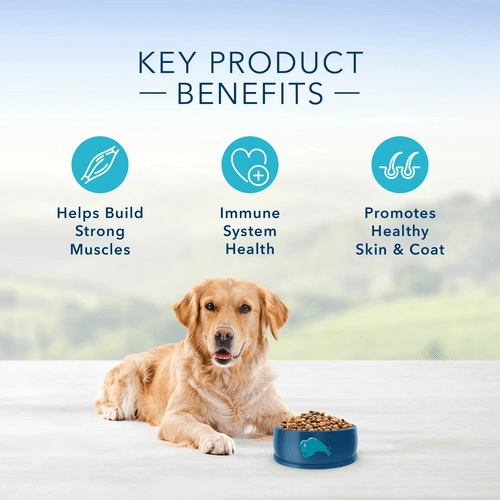 BLUE Life Protection Formula Lamb & Brown Rice Recipe Dry Dog Food