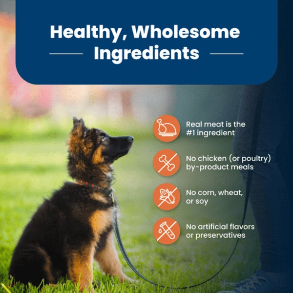 BLUE Life Protection Formula Large Breed Chicken & Brown Rice Recipe Dry Puppy Food, 26lb
