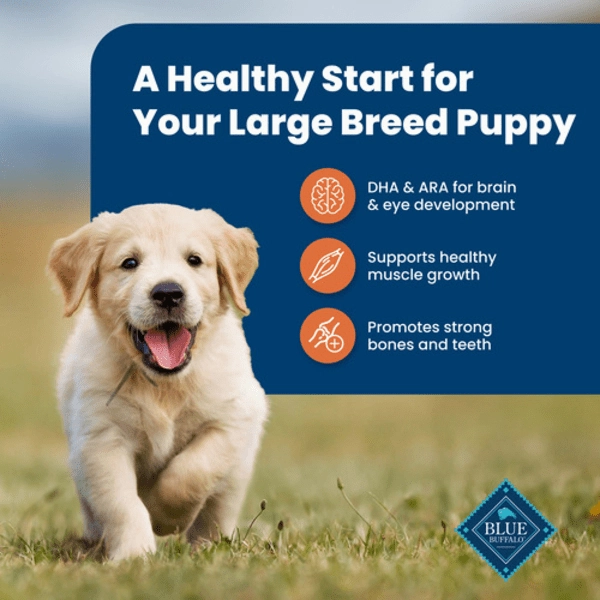 BLUE Life Protection Formula Large Breed Chicken & Brown Rice Recipe Dry Puppy Food, 26lb
