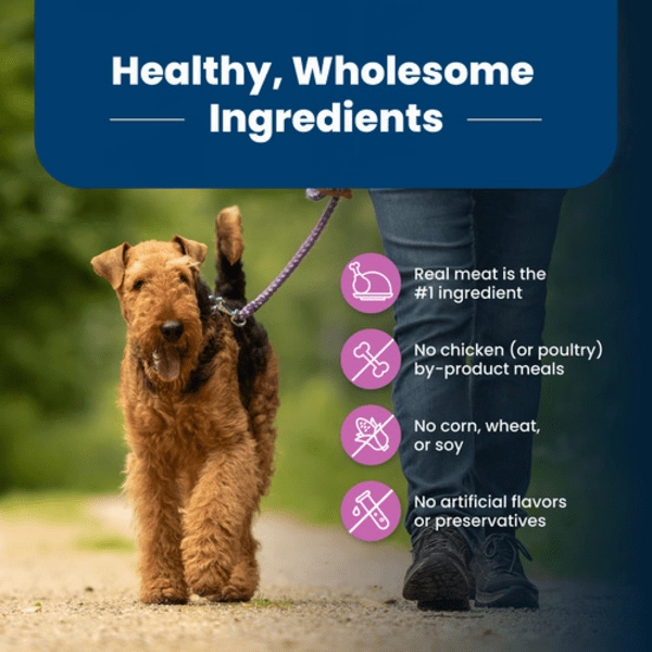 BLUE Life Protection Formula Large Breed Lamb & Brown Rice Recipe Dry Dog Food, 26lb