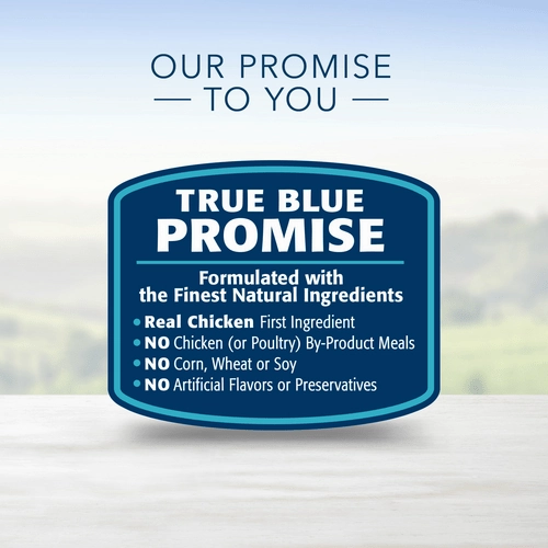 BLUE Life Protection Formula Small Breed Beef & Brown Rice Recipe Dry Dog Food, 15lb