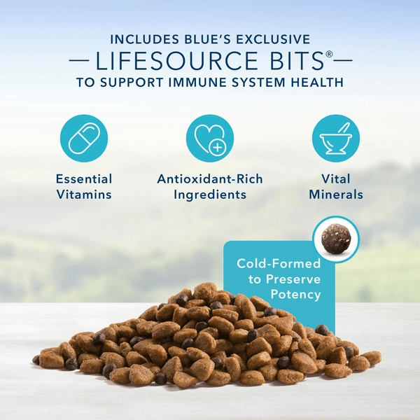 BLUE Life Protection Formula Small Breed Beef & Brown Rice Recipe Dry Dog Food, 15lb