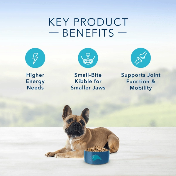 BLUE Life Protection Formula Small Breed Beef & Brown Rice Recipe Dry Dog Food, 15lb