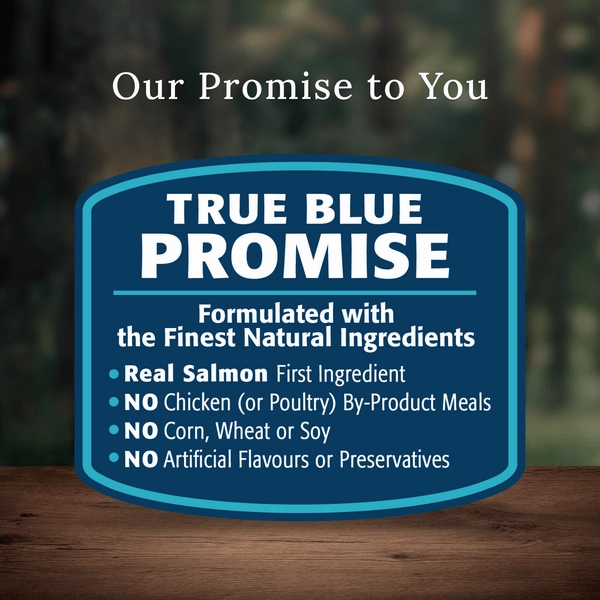 BLUE Wilderness Salmon Recipe with Grains Dry Dog Food, 24lb