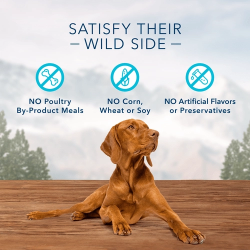 BLUE Wilderness Trail Treats Grain Free Biscuits; Duck Recipe