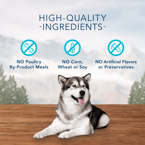 BLUE Wilderness Trail Treats Wild Bits Duck Recipe Dog Training Treats