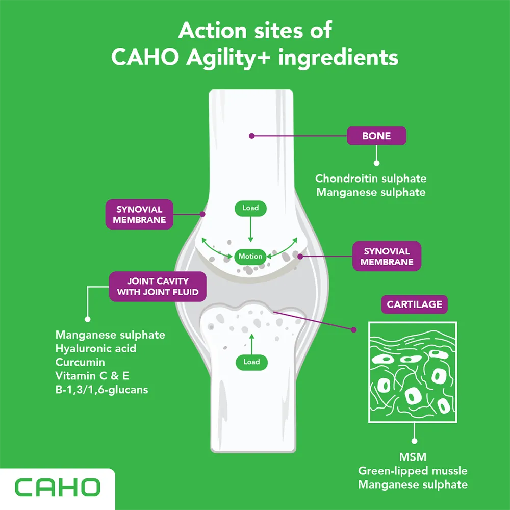 Caho Agility  Premium Hip & Joint Supplement for Dogs & Cats 90caps