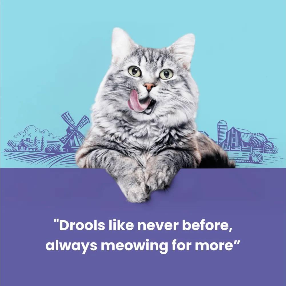 Catfest Pillows with Crab Cream Cat Treats