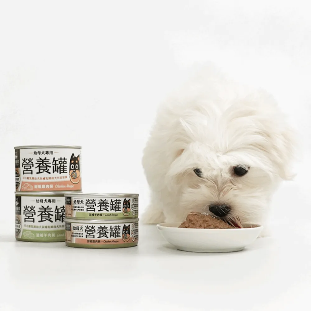 Chicken Complete Balanced Puppy Dog Can