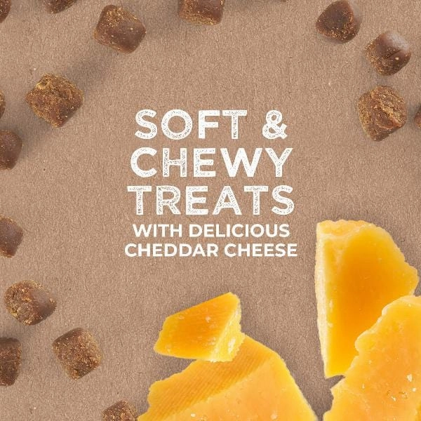 Cloud Star Tricky Trainers with Cheddar Soft & Chewy Dog Treats