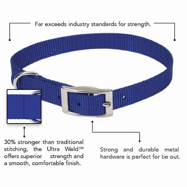 Coastal Single-Ply Dog Collar
