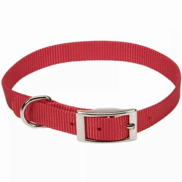Coastal Single-Ply Dog Collar