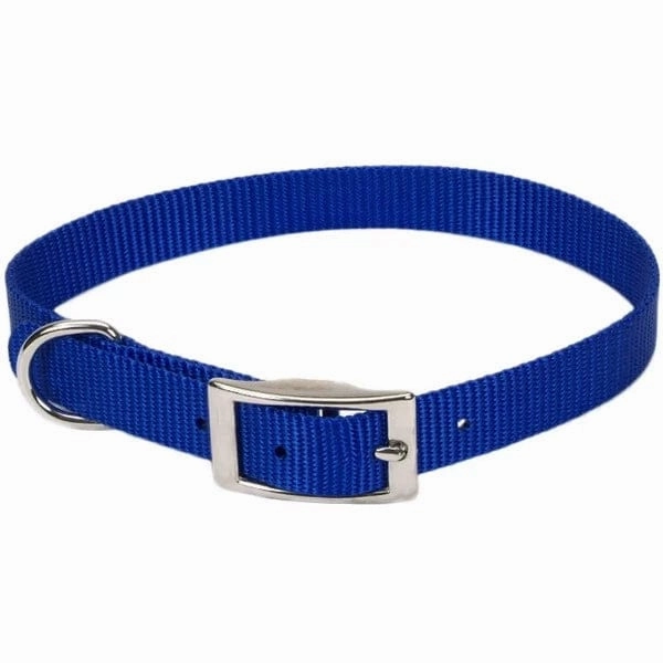 Coastal Single-Ply Dog Collar