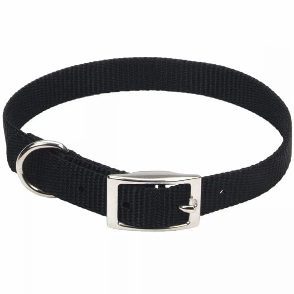Coastal Single-Ply Dog Collar