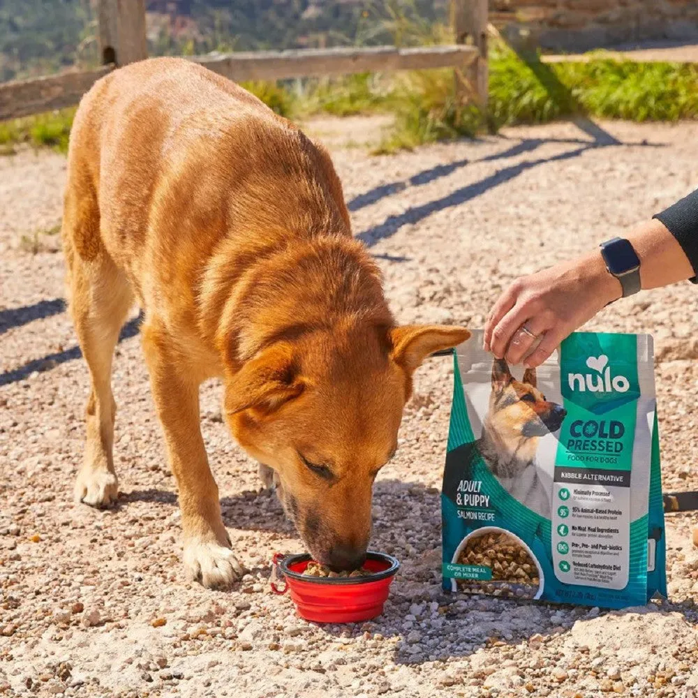 Cold Pressed - Salmon Chicken & Whitefish for Adult & Puppy Dog Dry Food
