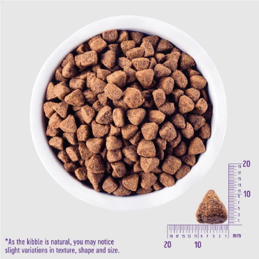 CORE Healthy Weight Turkey Adult Dog Dry Food