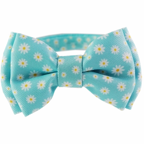 Dan & Sam - Cat Collar & Bowtie (Chamomile)