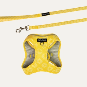 Dan & Sam - Cat Step-in Harness & Lead (Wild Sunflower) - Small