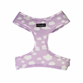 Dan & Sam - Dog Harness (Dreamer) - Small