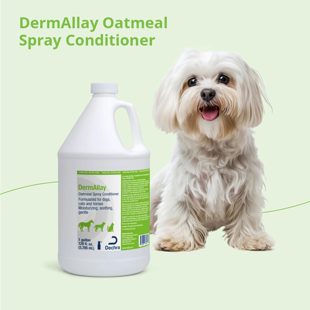 Dermallay Conditioner, Gallon