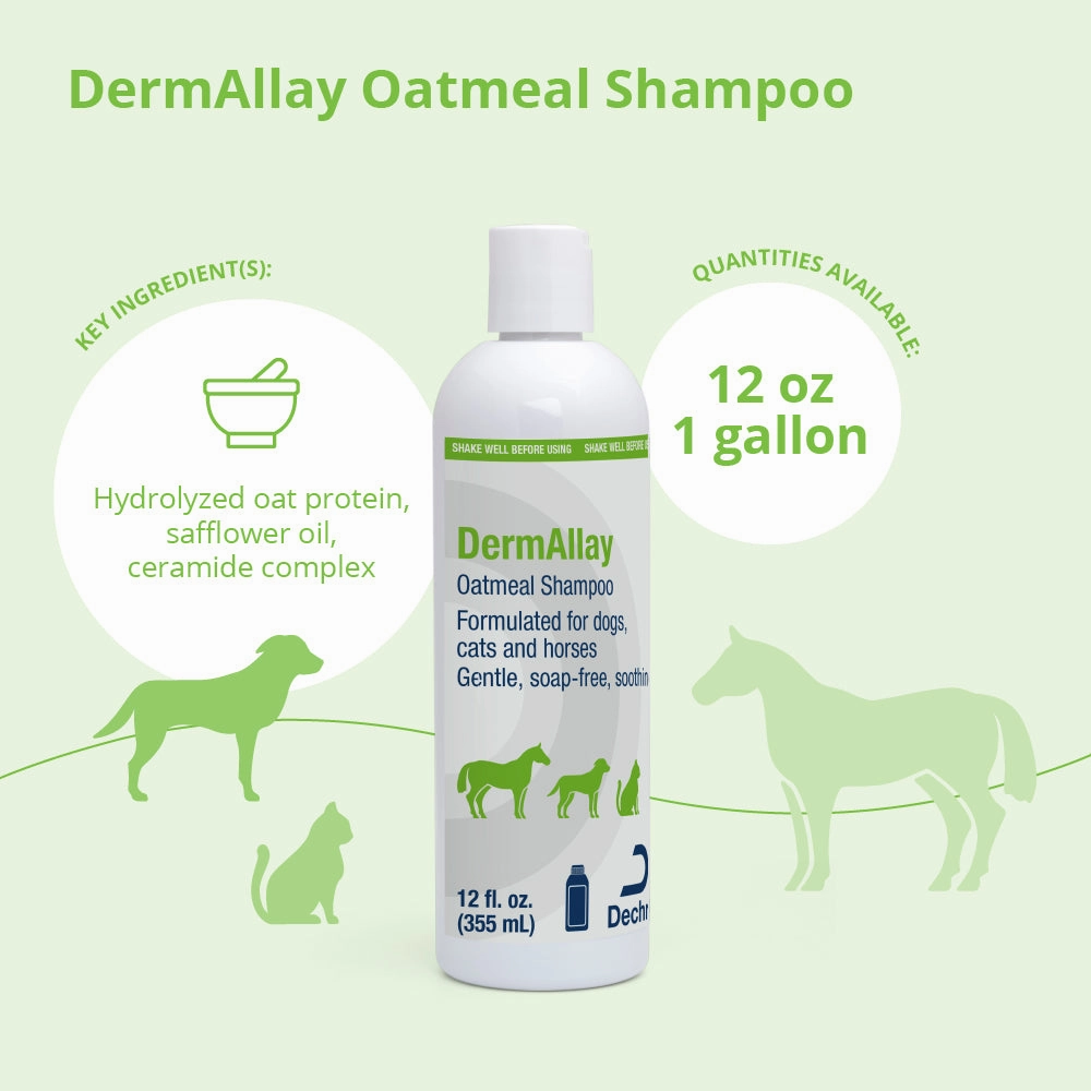 DermAllay Oatmeal Shampoo for Dogs, Cats & Horses