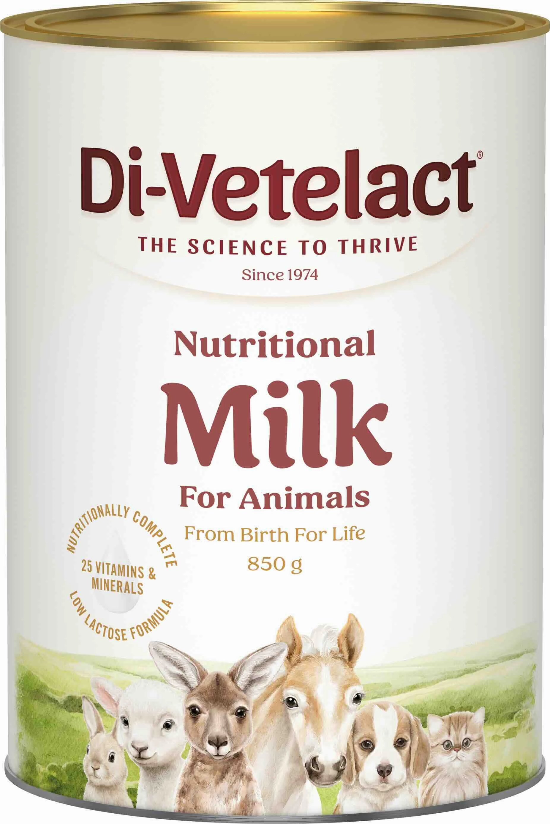 Di-Vetelact - Nutritional Milk (850g)
