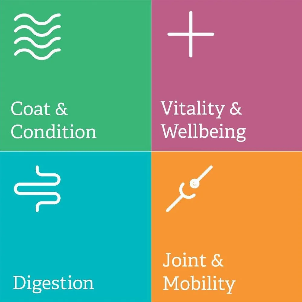 Digest-Aid for Dogs & Cats