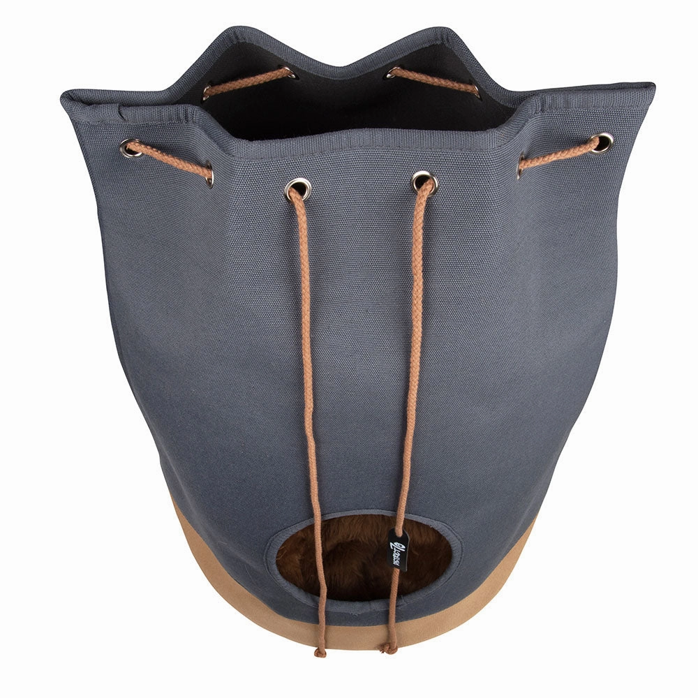 District 70 - CASA Cat House (Cognac)