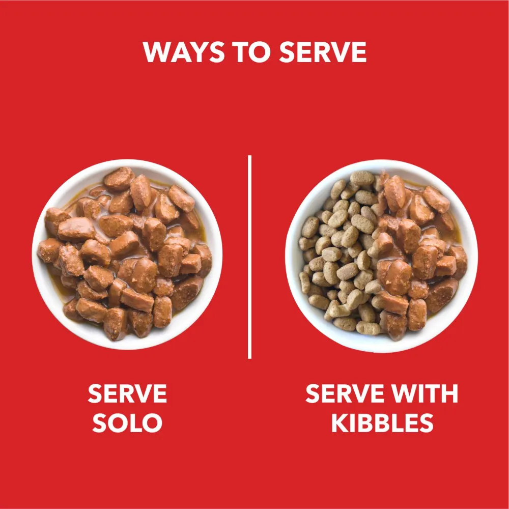 Drools Focus Super Premium Dry Food and Chicken & Chicken Liver Chunks in Gravy Puppy Dog Wet Food Combo