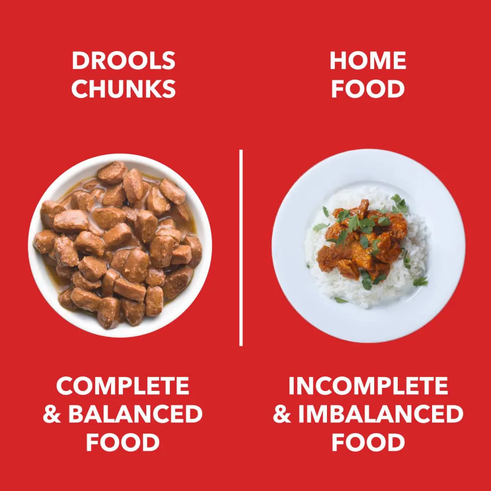 Drools Focus Super Premium Dry Food and Chicken & Chicken Liver Chunks in Gravy Puppy Dog Wet Food Combo