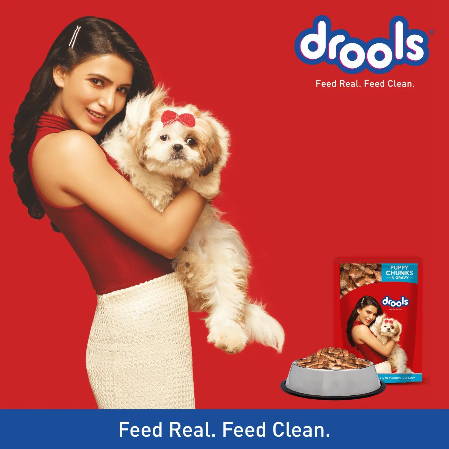 Drools Focus Super Premium Dry Food and Chicken & Chicken Liver Chunks in Gravy Puppy Dog Wet Food Combo