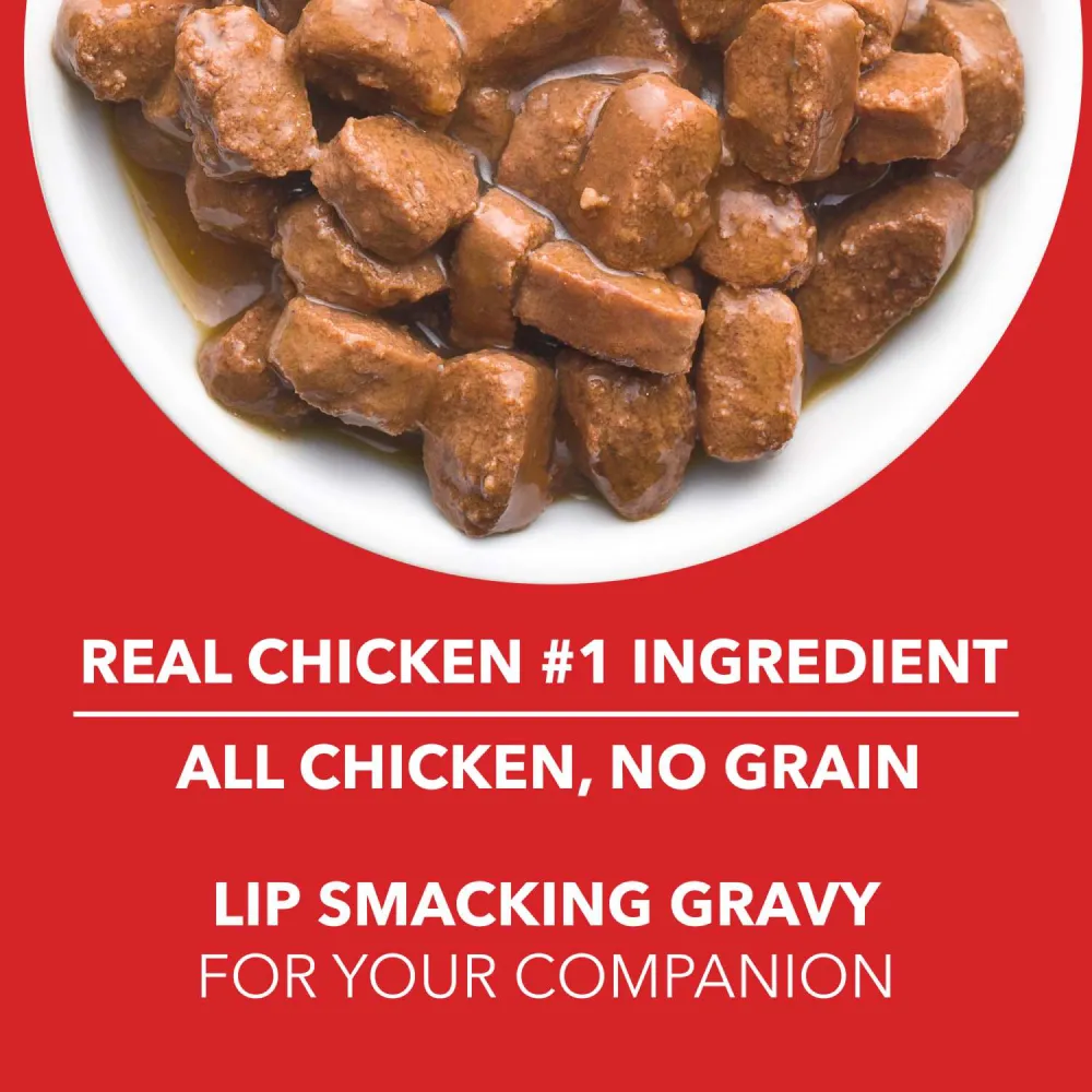 Drools Focus Super Premium Dry Food and Chicken & Chicken Liver Chunks in Gravy Puppy Dog Wet Food Combo