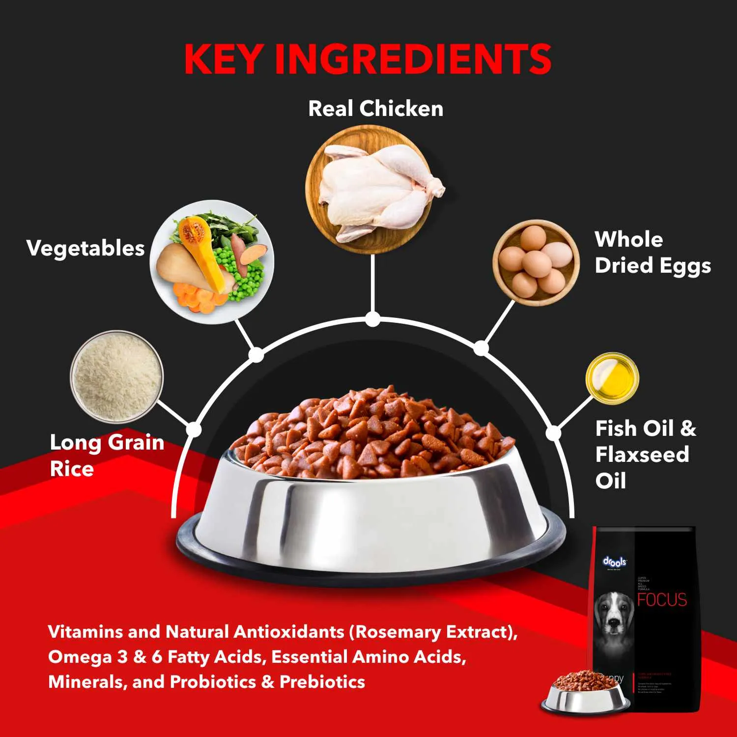Drools Focus Super Premium Dry Food and Chicken & Chicken Liver Chunks in Gravy Puppy Dog Wet Food Combo