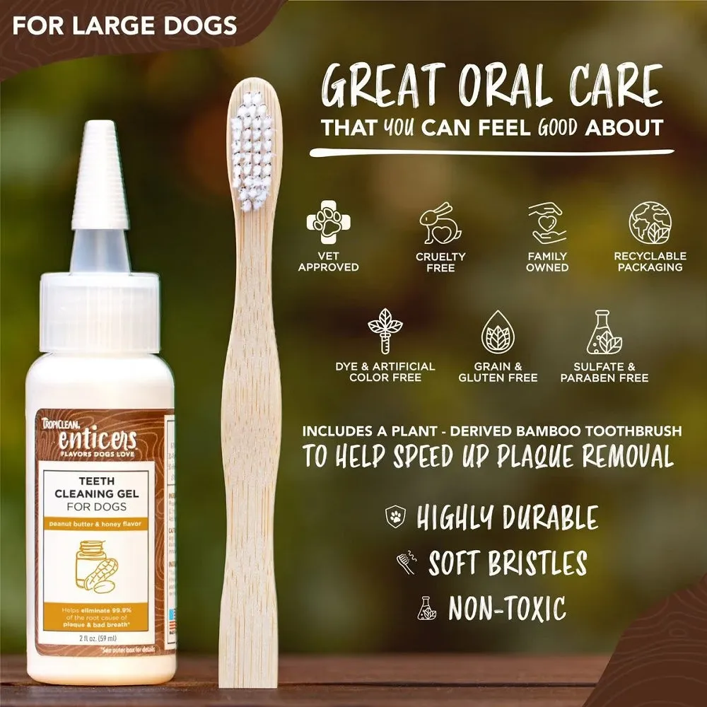 Enticers Peanut Butter & Honey Dental Kit for Dogs