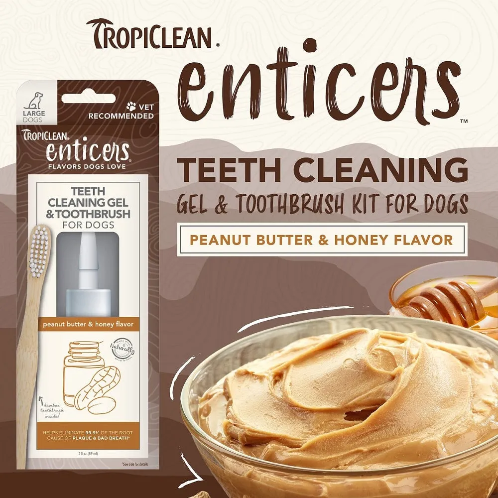 Enticers Peanut Butter & Honey Dental Kit for Dogs