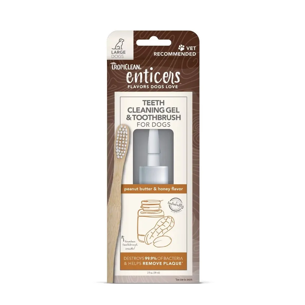 Enticers Peanut Butter & Honey Dental Kit for Dogs