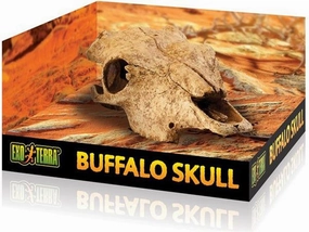 Exo Terra - Buffalo Skull (Medium)