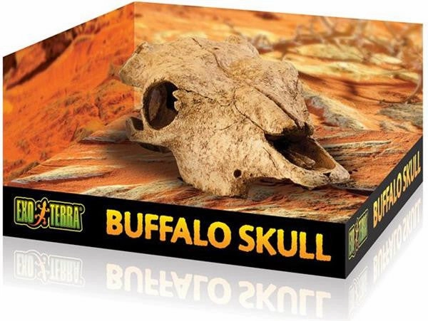 Exo Terra - Buffalo Skull (Medium)