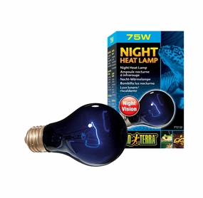 Exo Terra - Night Glo Bulb (75w)