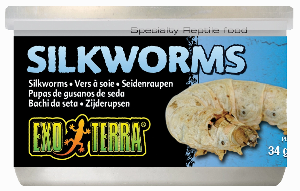 Exo Terra - Silkworms