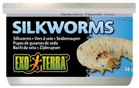 Exo Terra - Silkworms