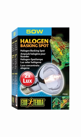 Exo Terra - Sun Glo Daylight Halogen Lamp (50w)